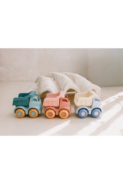 Set de Juguetes de Playa Wild Animals MONNEKA