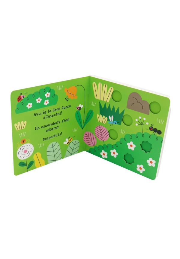 Insectes COMBEL