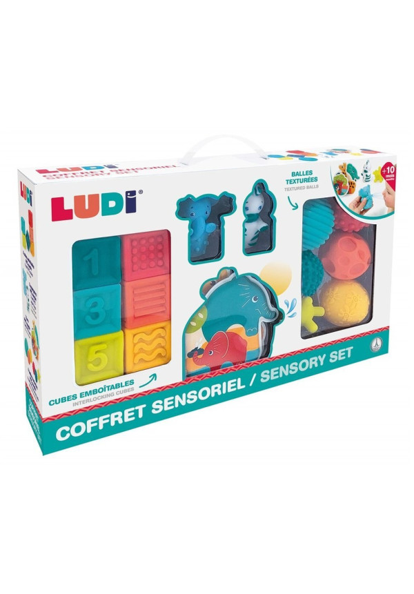  Conjunto sensorial LUDI