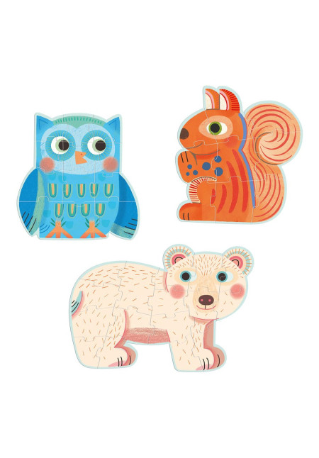 Puzzle evolutivo en el bosque DJECO